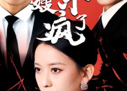 短剧《大哥死后，大嫂杀疯了（80集）》短剧免费全集极速看