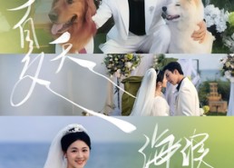 短剧《夏天，海浪与你（76集）》精彩短剧免费全集观