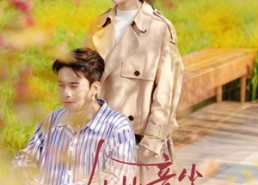 短剧《从此音尘各悄然（72集）》热门短剧免费随心看