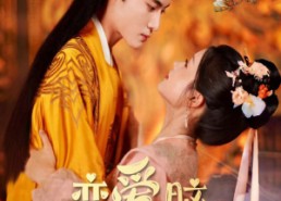 短剧《恋爱脑后宫求生指南（78集）》爆款短剧全集免费看