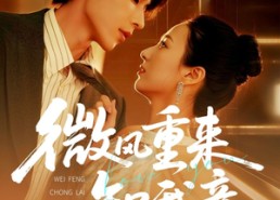 短剧《微风重来知我意（62集）》短剧全集免费高清在线播