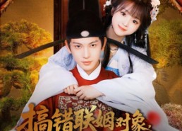 短剧《搞错联姻对象，太傅他又争又抢（92集）》精彩短剧免费全集在线看