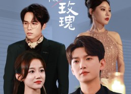 短剧《他的危险玫瑰（101集）》精彩短剧完整版免费赏