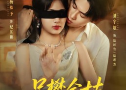 短剧《另攀高枝（60集）》短剧全集在线免费看