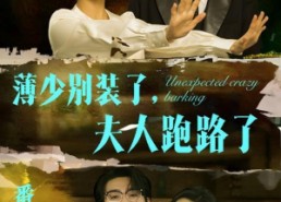 短剧《薄少别装了夫人跑路了（60集）》短剧完整版免费在线看