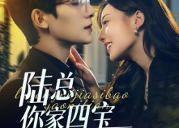 短剧《陆总你家四宝要逆天（84集）》热门短剧免费全集播放