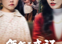 短剧《年年寻亲记（31集）》短剧在线免费全集观