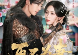 短剧《再不为妻（60集）》短剧无删减全集速览