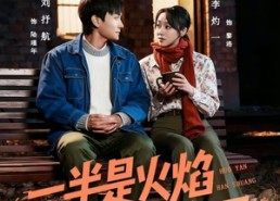 短剧《一半是火焰一半是寒霜（60集）》短剧免费高清全集畅看