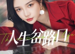 短剧《人生岔路口（30集）》短剧全集免费在线赏