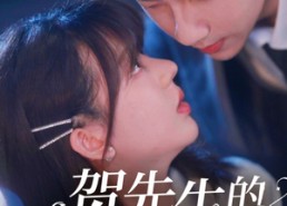 短剧《贺先生的隐婚蜜爱（81集）》短剧全集高清在线免费看