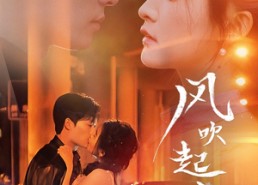 短剧《风吹起时想你（56集）》短剧全集免费在线赏