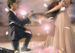 短剧《念念已忘（30集）》热门短剧高清在线播放