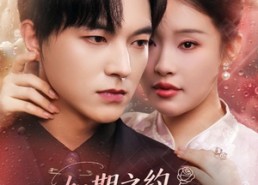 短剧《如期之约心动予你（82集）》高清短剧全集免费看