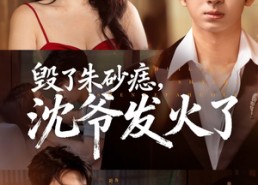 短剧《毁了朱砂痣，沈爷发火了（60集）》优质短剧免费全集观看