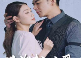 短剧《再次相信爱（64集）》短剧全集高清免费观看