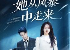 短剧《她从风暴中走来（60集）》热门短剧在线免费观赏