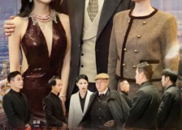 短剧《人到中年（35集）》短剧高清全集免费赏