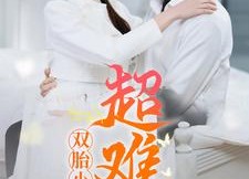 短剧《双胎小孕妻超难哄（64集）》优质短剧免费全集看