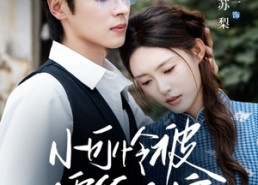 短剧《小可怜被霍爷全家宠上天（65集）》短剧高清全集在线播放