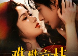 短剧《难攀京枝（74集）》精彩短剧免费全集赏