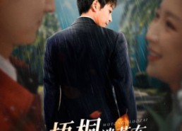 短剧《梧桐遗落在晚风尽头（71集）》精彩短剧全集免费追