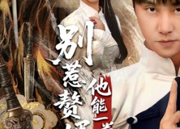 短剧《假面赘婿，出手定乾坤（67集）》短剧免费在线追全集