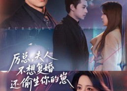 短剧《厉总，夫人不想复婚还偷生你的崽（80集）》短剧完整版免费在线看