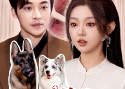 短剧《闪婚偏宠，夫人马甲有亿点多（85集）》优质短剧免费在线追看