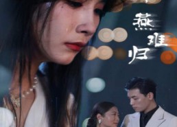 短剧《燕南飞，燕难归（31集）》免费短剧在线高清欣赏