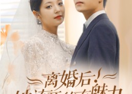 短剧《离婚后，她该死的有魅力（87集）》短剧全集免费在线点播