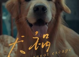 短剧《犬祸难逃（33集）》短剧完整高清免费观看