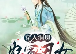 短剧《穿入洞房农家丑女要翻身（100集）》精彩短剧全集免费直看