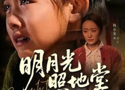短剧《明月光照地堂（40集）》热门短剧在线免费追