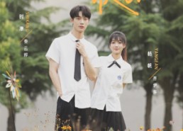 短剧《栀子花落状元红（50集）》精彩短剧在线免费看