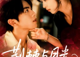 短剧《荆棘与月光（60集）》爆款短剧免费全集观看