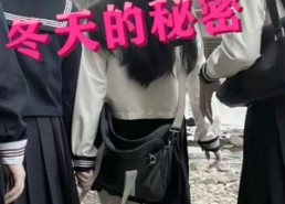 短剧《冬天的秘密（60集）》精彩短剧免费在线追