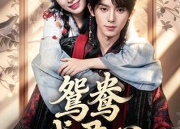 短剧《鸳鸯戏君心（60集）》免费短剧在线完整欣赏