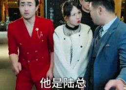 短剧《陆夫人马甲掉一地（82集）》超火短剧全集免费看