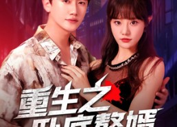 短剧《重生之卧底赘婿（82集）》热门短剧在线畅享观看