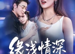 短剧《缘浅情深终相负（80集）》短剧超全剧集在线览