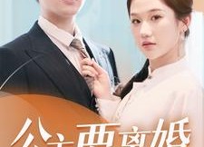 短剧《公主要离婚（77集）》热门短剧免费全集欣赏