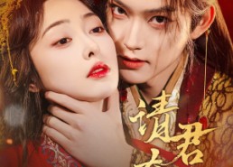 短剧《请君夺娇（71集）》精彩短剧免费全集观