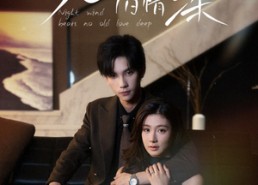 短剧《晚风不渡旧情深（70集）》短剧高清全集免费看