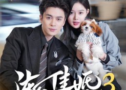 短剧《渐入佳婚3（60集）》热门短剧免费畅看全集