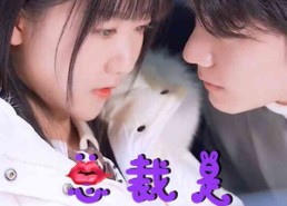 短剧《总裁是闪婚老公（21集）》爆款短剧免费全集看