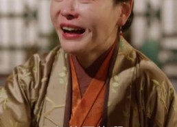 短剧《锦屏春暖（84集）》短剧全集免费畅快看