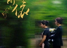 短剧《老有所依（50集）》短剧完整剧情免费观看