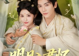 短剧《明月入君怀（70集）》超长短剧免费全集观看