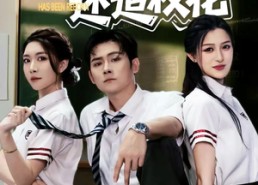 短剧《都重生了谁还追校花（70集）》热门短剧在线高清看